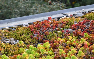 the cost of Nisbet green roof installation