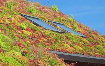 Nisbet living roof systems