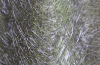 Nisbet fibreglass roof work